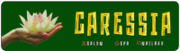 logo with hand2